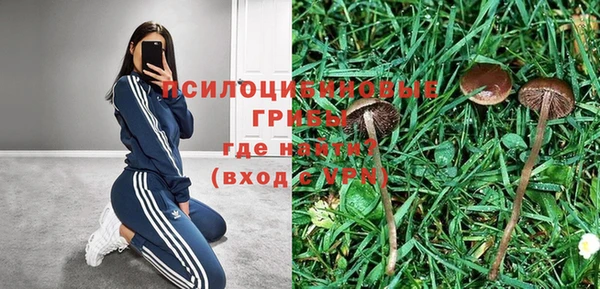 круглые Абаза